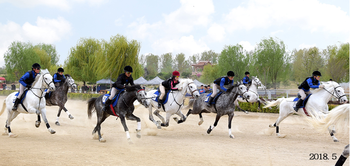 14-인민의 문화정서생활기지-미림승마구락부